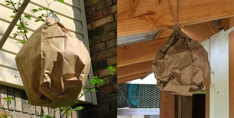 paper bag fake wasp nest|paper bags and wasps.